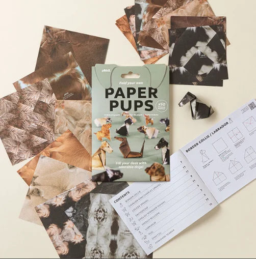 Fold Your Own Cat Origami Kit