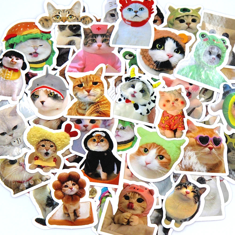 Funny Cat Sticker Pack