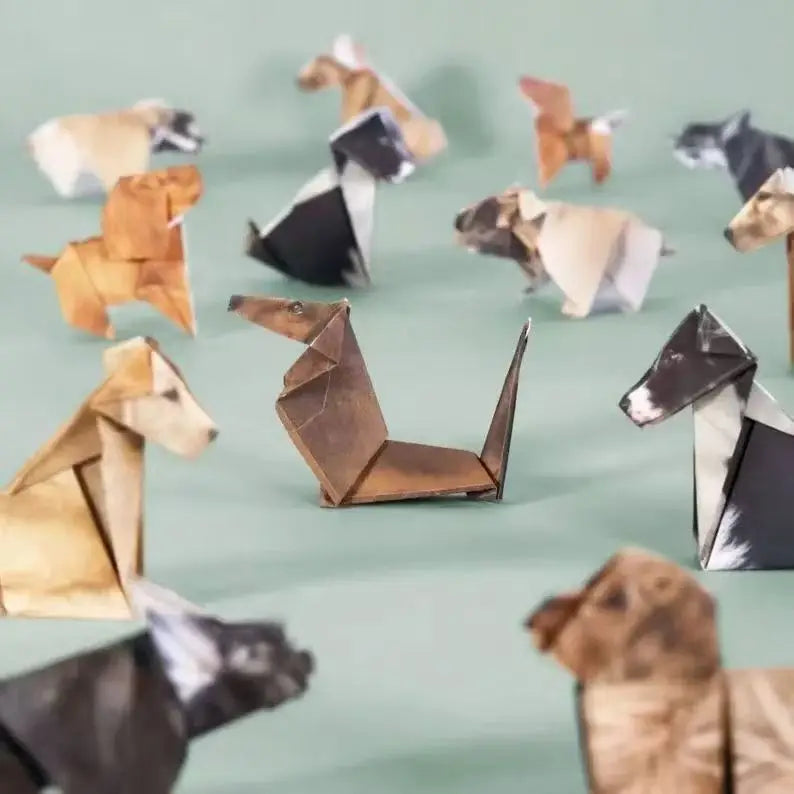 Fold Your Own Cat Origami Kit