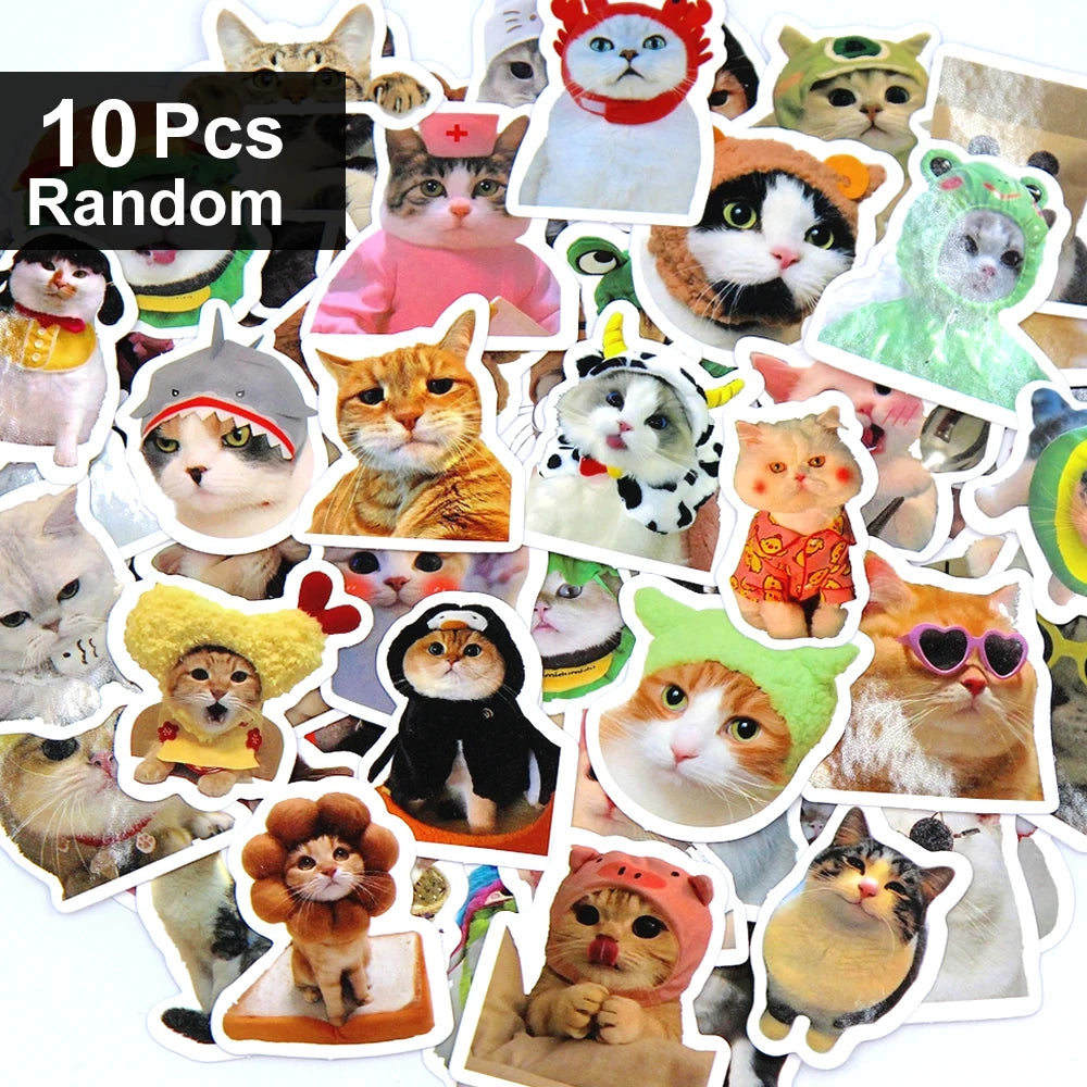 Funny Cat Sticker Pack