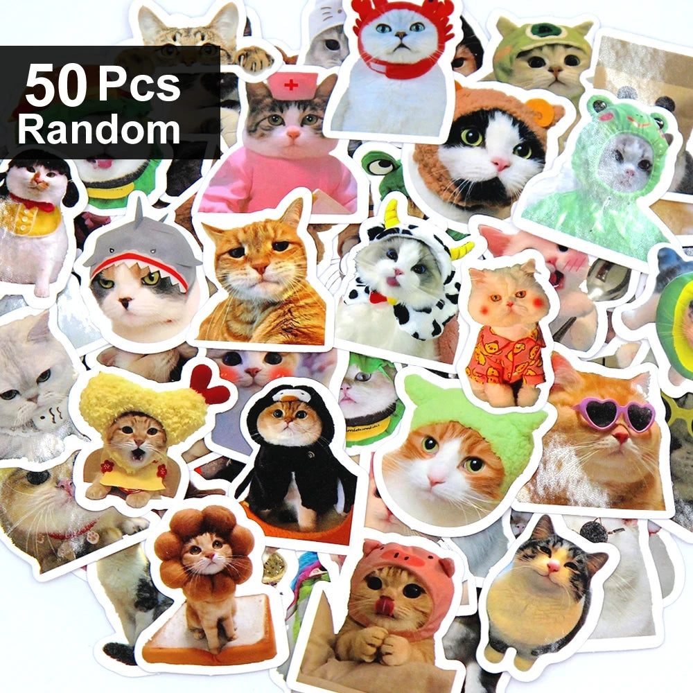 Funny Cat Sticker Pack