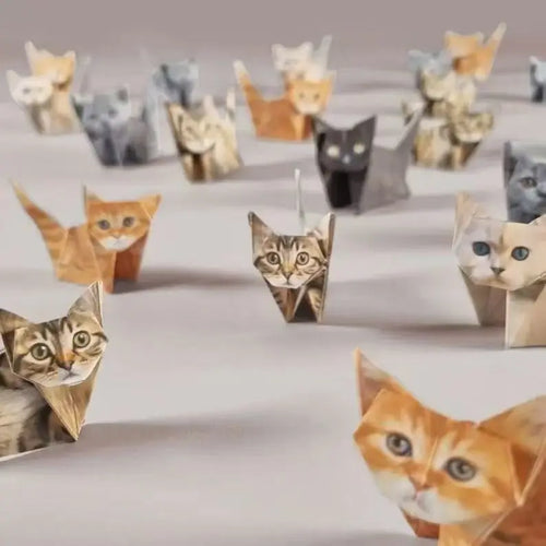 Fold Your Own Cat Origami Kit